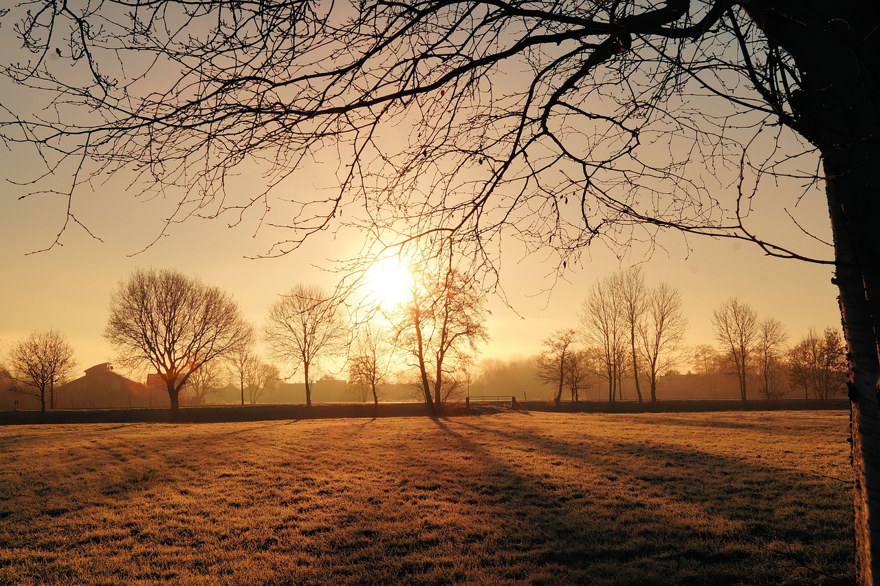 Tips for Building a Productive Morning Routine